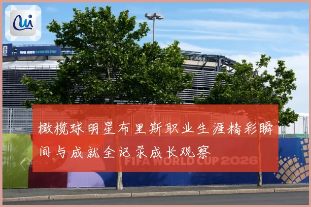 橄榄球明星布里斯职业生涯精彩瞬间与成就全记录成长观察